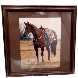 Beautiful Horse Photograph Framed Found Photo Art Cowboy Western Ranch Decor 14